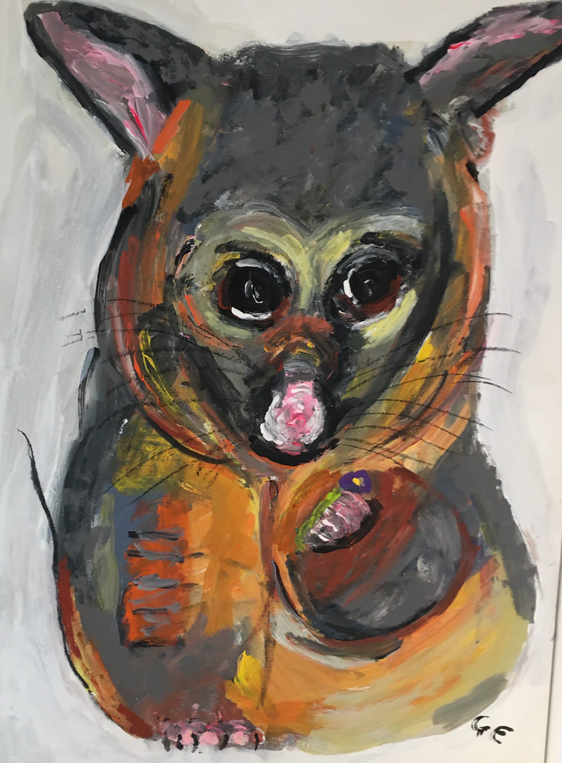 Possum